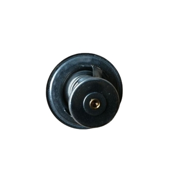 Standaardmaat 76 graden thermostaat voor SINOTRUK CNHTC Foton Truck T2485613 T74405005