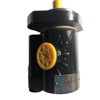 Shacman C4930793 Vane Pump voor vervanging/reparatie Truck Model Shacman Truck Spare Part Accessories